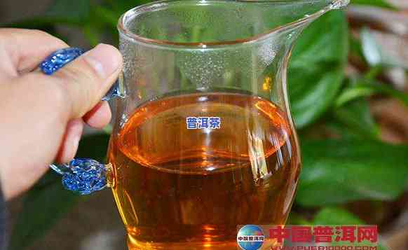 普洱茶的减肥原理是什么？探究其科学依据与效果