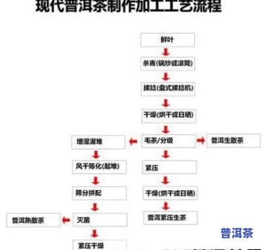 普洱茶三层发酵原理图解说明：详细解析与图片展示