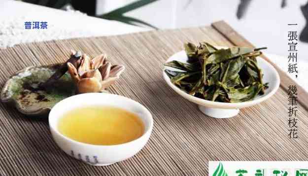 普洱茶古树汤色特点介绍-普洱茶古树汤色特点介绍图片