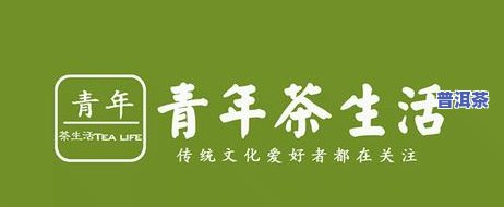 普洱茶怎么泡乌龙茶好喝呢，「茶叶课堂」普洱茶怎样泡出好喝的乌龙茶？这份新手指南请收好！