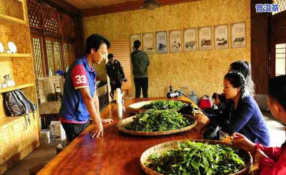 普洱知青茶，回味历史，品味生活：探索普洱知青茶的特别魅力