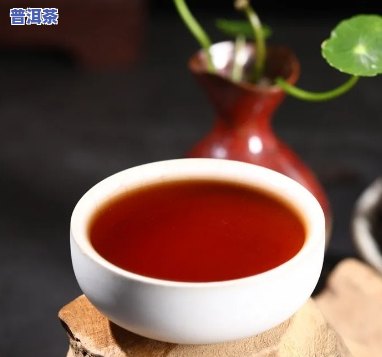 普洱茶知识100讲：学习普洱茶的知识汇总