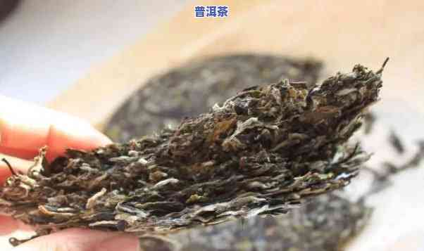 普洱茶感觉有点发霉，品鉴普洱茶时发现口感有些许发霉，该怎样解决？