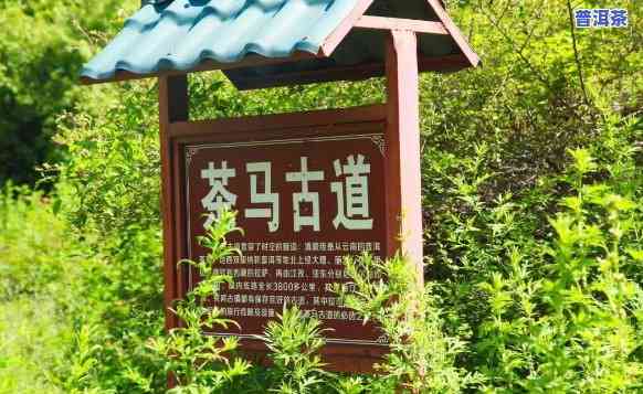 普洱茶马古道门票价格及必去景点推荐