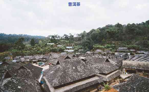 普洱茶马古道的营业时间-普洱茶马古道门票多少钱