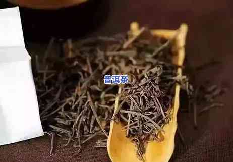 普洱茶为何含有茶梗：起因与味道解析