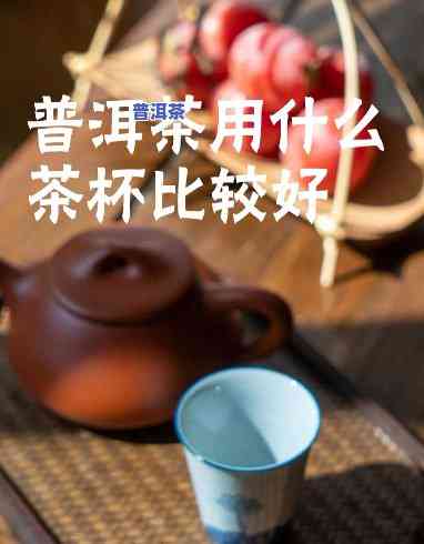 北方怎么用茶杯喝普洱茶-北方的茶杯