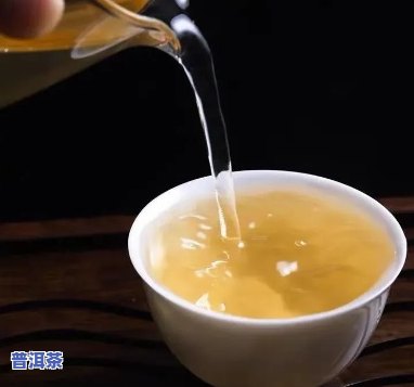 普洱荷叶茶的功效：什么更好？什么最健康？什么更受欢迎？