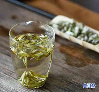 古树芽孢茶多少钱一斤，价格查询：古树芽孢茶每斤售价多少？