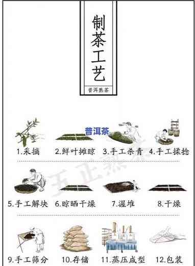 普洱茶抽签制作方法图解大全，「图解」普洱茶抽签制作全攻略：步骤详解与留意事项