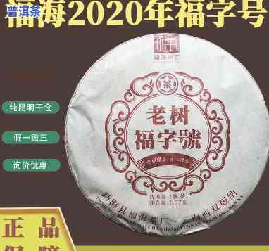 福海老班章古树饼茶：2012-2013年老班章古树茶精选合集