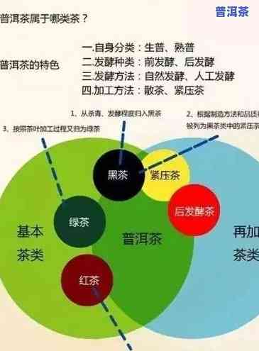 全程揭秘：普洱茶抽签制作过程视频大全教程