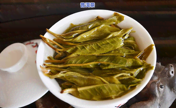 怎样挑选优质普洱茶？关键要素与步骤全解析