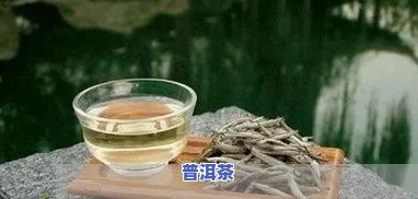 吃他汀类能喝普洱茶吗？对身体有何作用？女性适用吗？上有答案吗？