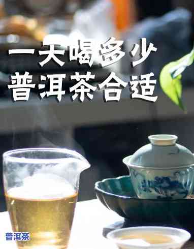 一天最多喝几杯普洱茶更好？合理饮用量解析