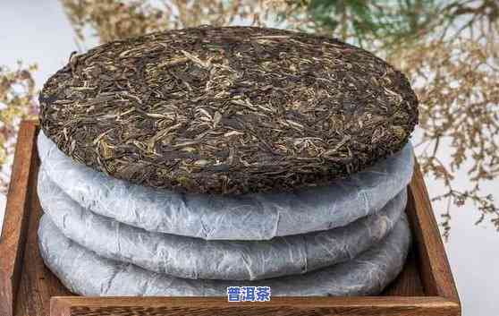 普洱茶5000元一斤，品味高端：普洱茶每斤售价高达5000元！