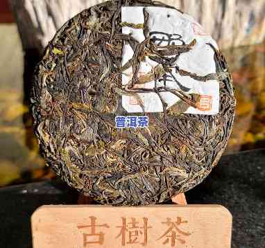 北京古树普洱茶售价多少-北京古树普洱茶售价多少钱