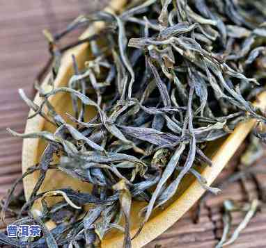 北京古树普洱茶售价多少-北京古树普洱茶售价多少钱