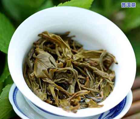 龙珠普洱茶价格，探索龙珠普洱茶的价格：从入门到高端的全解析