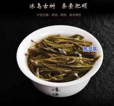 普洱茶十大古树茶名称大全及图片