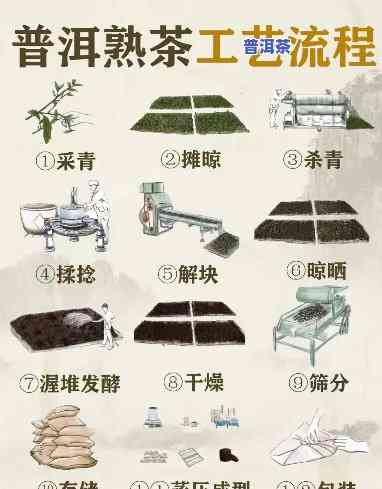 普洱茶龙珠制作工具大全：种类与图片解析