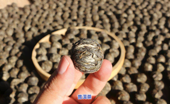 怎样捏好普洱茶龙珠形状-怎样捏好普洱茶龙珠形状图片