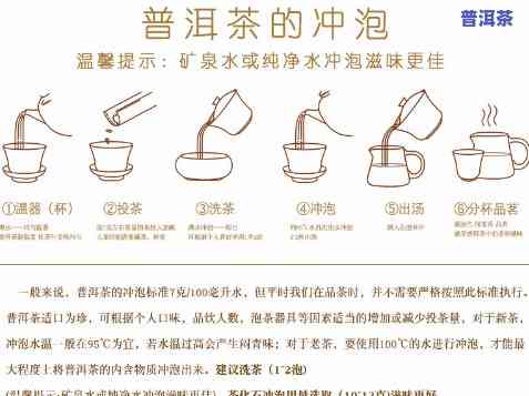 小种普洱茶更佳冲泡方法视频教程