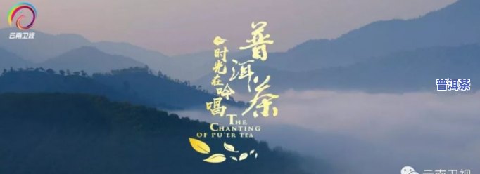 2019央视普洱茶报道，2019年央视特别报道：揭秘普洱茶的魅力与价值