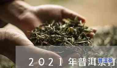 2021年普洱茶打假，严打！2021年普洱茶市场全面启动打假行动