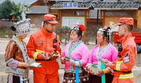 柳州普洱茶总部代理电话号码，柳州普洱茶总部代理电话号码全解析