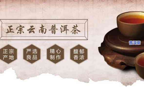 深圳普洱茶渠道代理-深圳普洱茶渠道代理电话