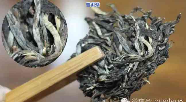 普洱茶里的发丝是啥样的？求图解！