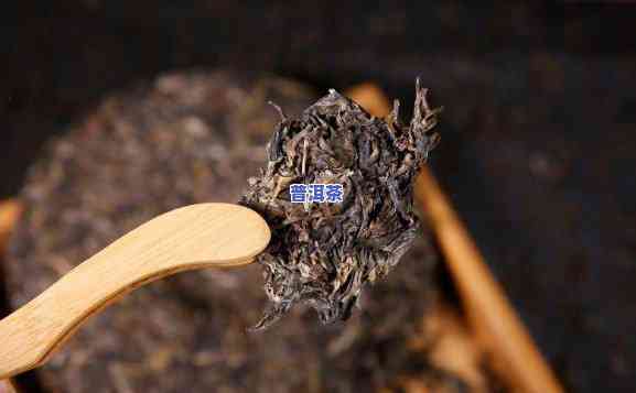 普洱茶饼为什么有发丝，揭秘普洱茶饼的“发丝”现象：起因解析与品鉴技巧