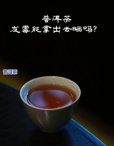 普洱茶里的发丝是啥意思-普洱茶里的发丝是啥意思啊