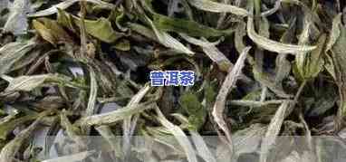 普洱砖茶价格2006年全记录：多少钱？详细表