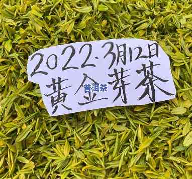 黄金芽茶叶价格表，最新黄金芽茶叶价格表，一网打尽各大报价！