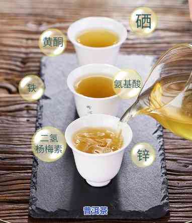 藤茶喝普洱茶哪个好喝点-藤茶喝普洱茶哪个好喝点呢