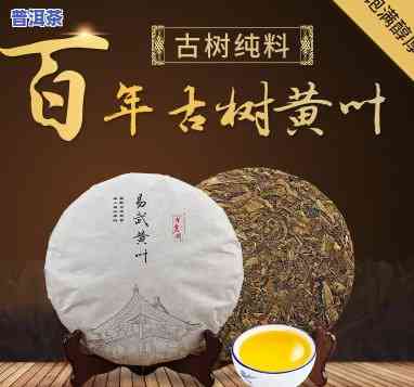 古树普洱茶和饼茶哪个好？区别与价格解析