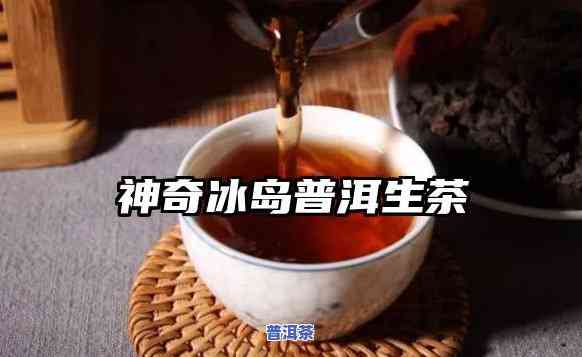 冰岛普洱生茶什么味道好，探索冰岛普洱生茶的特别口感：一次味蕾的冒险