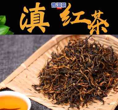 滇红：它属于红茶吗？