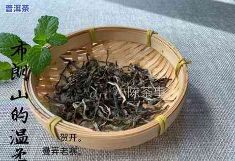 怎么分辨红茶还是普洱茶好，怎样区分红茶和普洱茶：一份详细的指南