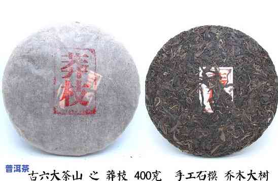 普洱茶六大古寨系列产品详细介绍及图片展示