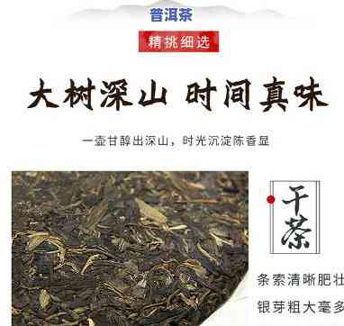 兴海布朗三号普洱茶价格-兴海布朗三号普洱茶价格是多少