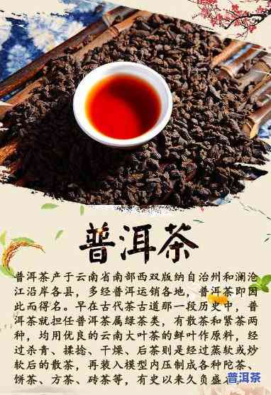 十大顶级食品普洱茶-十大顶级食品普洱茶排名