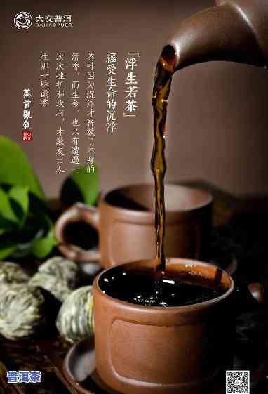 普洱茶宣传片文案：制作技巧与范例全解析