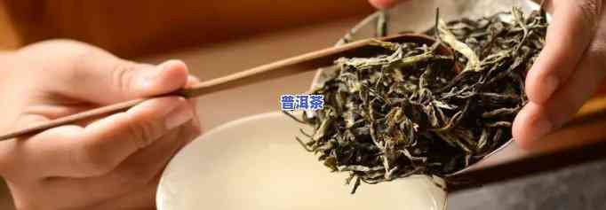 宜春普洱茶加盟条件请求，详细解读：宜春普洱茶加盟条件请求