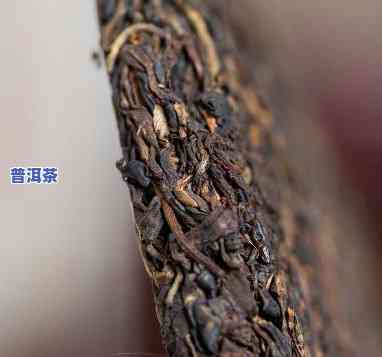 普洱茶叶什么颜色，探索普洱茶的特别魅力：揭示其神秘的颜色世界