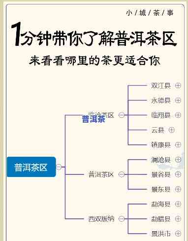 普洱茶四大产区详细介绍：地理位置、气候特点与代表性茶叶