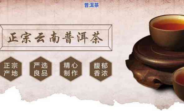 清远市普洱茶代理商-普洱茶经销商