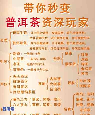 熟悉云南普洱茶的分类和特点，探索云南普洱茶的世界：分类与特点全解析